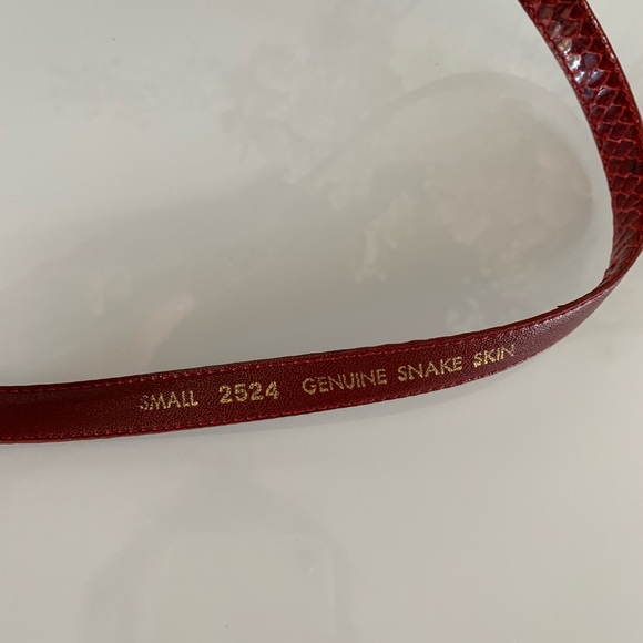 Snake Skin Belt - Picture 3 of 3